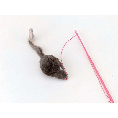じゃれ猫+チューチュー+